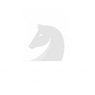 Brumby Systems logo